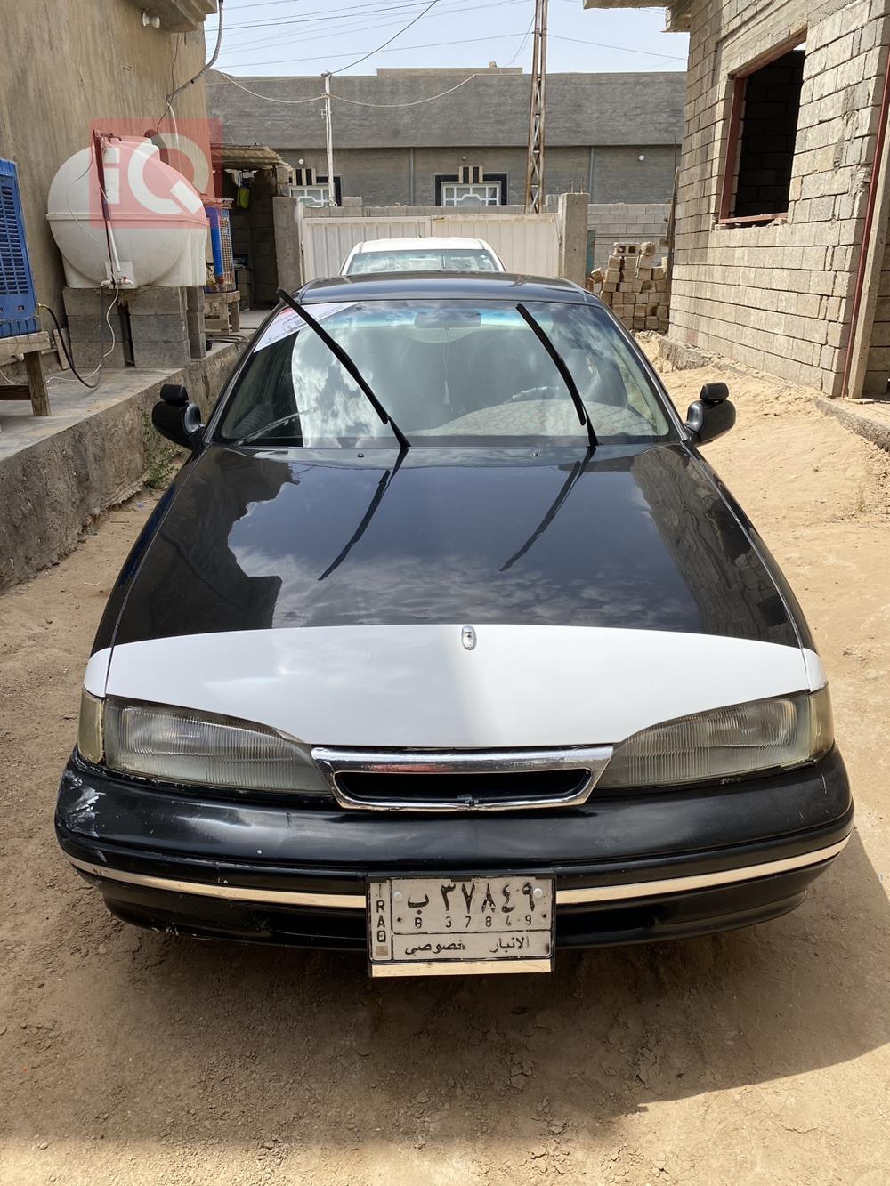 دايو برنس